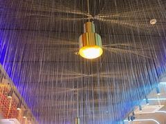 -杨记齐齐哈尔烤肉(总店)