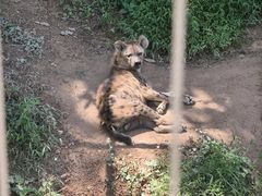 -宁波野生动物园