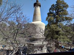 -大觉寺-停车场