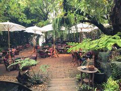 -Fern Forest Cafe