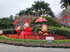 -金花茶公园