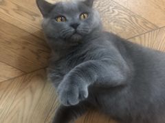 -Me Coffee下午茶艺术空间