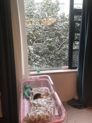 -弗蕾亚·和月月子调理院(东湖店)