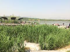 -永定河休闲森林公园