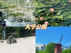-上海玛雅海滩水公园