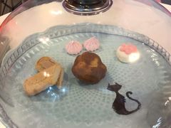 -三花喵·撸猫购宠·宠物生活馆(虹桥南丰城店)