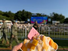 -青枫公园