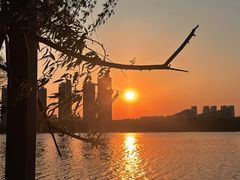 -长白岛森林公园