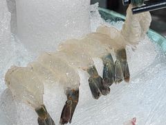-渔意如意·首创金鲷顺德鱼生