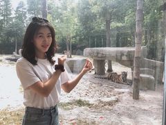 -上海野生动物园老虎餐厅
