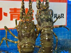-壹号粥火锅·海鲜煲仔粥(水围店)