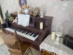 -可乐大王自然光儿童摄影(园区店)