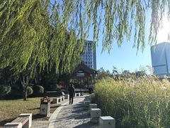 -西海子公园