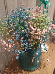 -海茱雅科技健康美容