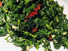 凉拌荠荠菜-粗茶淡饭•陕菜•家常菜