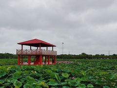-嘉北郊野公园
