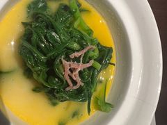 -觀芷隐轩