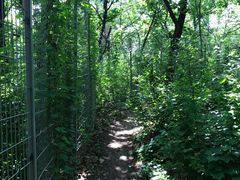 -沈阳辉山风景区