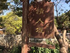 -红山村