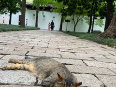 -西园戒幢律寺