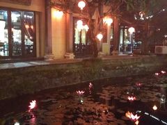 -河内西湖莲花自助餐厅