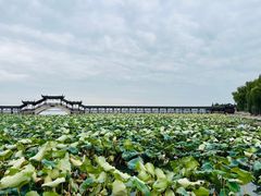 -观桥阁(锦溪店)