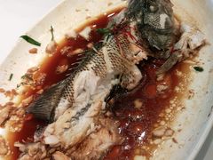 -紫光园·烤鸭·北京菜(劲松店)