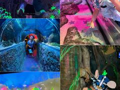 -沈阳海洋探索中心