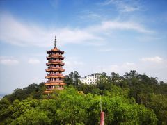 -大雁山风景区