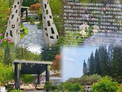 -深圳仙湖植物园