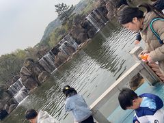 -白马涧龙池景区