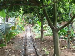 -呀路古热带植物园