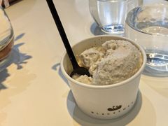 -BLACKSWAN黑天鹅(环球店)