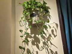 -云之南(八里庄店)