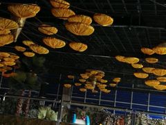 -宝丽金大酒店·洗浴中心