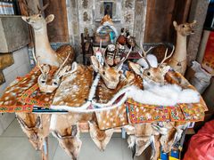 -乔家满族八大碗(流水沟店)