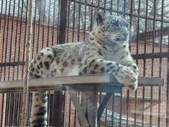 -青藏高原野生动物园