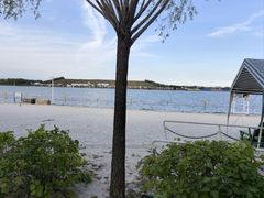 -呼兰河口湿地公园