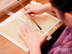 -利星行天竺之星汽车有限公司