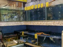 -权记避风塘(鸿记店)