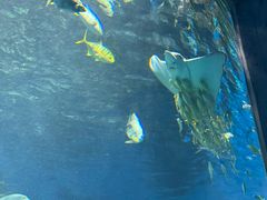 -海合安武汉极地海洋公园