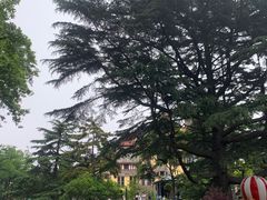 -青岛德国总督楼旧址博物馆