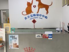 -美美宠物诊疗中心·异宠·骨科(滨江东信分院)