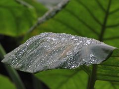 -亦缘居私家别院