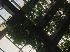-龙达温泉生态城