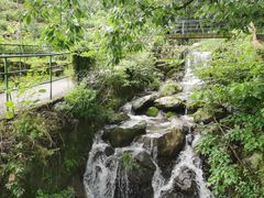 -藏龙百瀑风景区