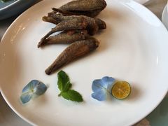 小黄花-南山鲜虾面·活鲜小馆·海味大连菜(南山总店)