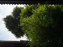 -叩齿古寺