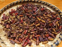 -老滇山寨•云南特色菜•地方菜•民族风情歌舞表演(金碧店)