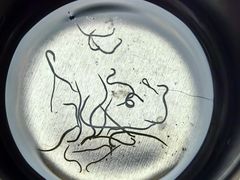 -芭比堂动物医院·CT·微创中心(新顺分院)